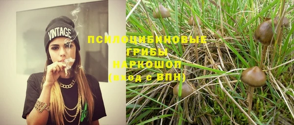 спайс Алексин