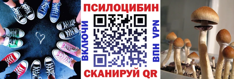 Галлюциногенные грибы Magic Shrooms  Сокол 