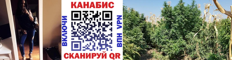цены Сокол Канабис THC 21%